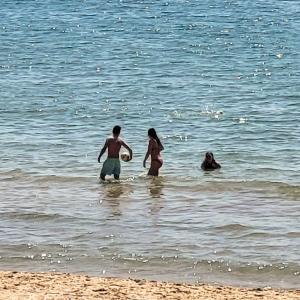 france/nouvelle-aquitaine/lac-de-mas-chaban