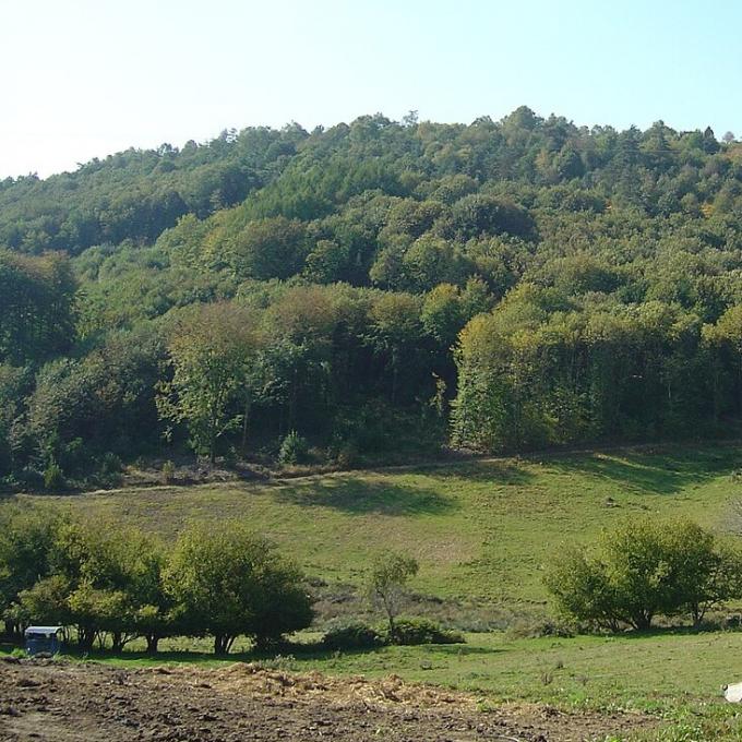 france/nouvelle-aquitaine/mont-gargan