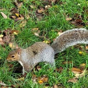 france/nouvelle-aquitaine/parc-naturel-regional-de-millevaches