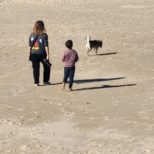 france/nouvelle-aquitaine/parc-naturel-regional-des-landes-et-gascogne/lac-de-lamothe