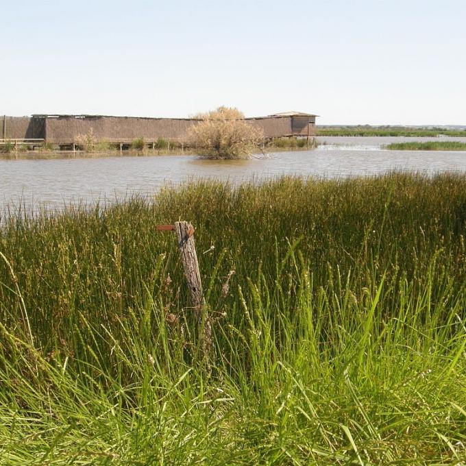 france/occitanie/camargue-gardoise