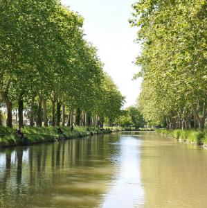 france/occitanie/canal-du-midi