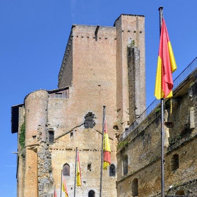 france/occitanie/la-tour-de-termes-d-armagnac