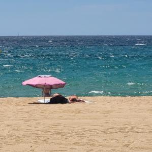 france/occitanie/leucate-plage