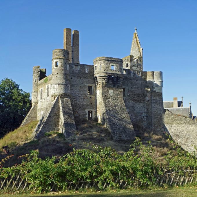 france/pays-de-la-loire/chateau-du-plessis-mace