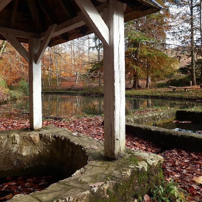 france/pays-de-la-loire/foret-de-berce