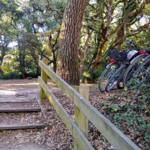 france/pays-de-la-loire/noirmoutier/bois-de-la-chaise