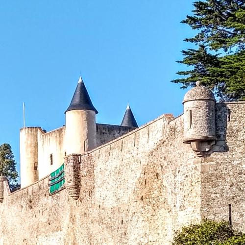 france/pays-de-la-loire/noirmoutier/chateau-de-noirmoutier