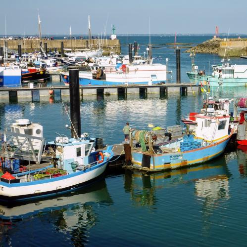 france/pays-de-la-loire/noirmoutier/l-herbaudiere