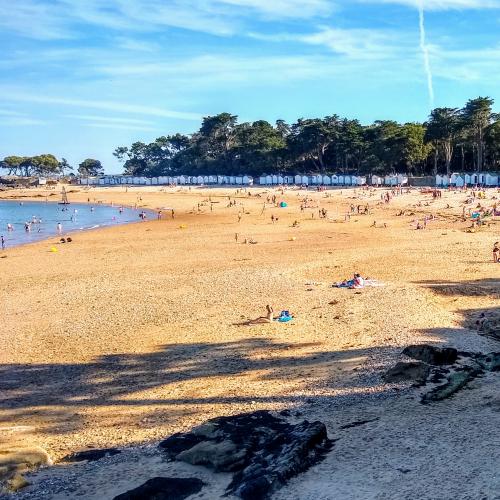 france/pays-de-la-loire/noirmoutier/plage-des-dames