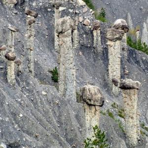 france/provence-alpes-cote-d-azur/demoiselles-coiffees