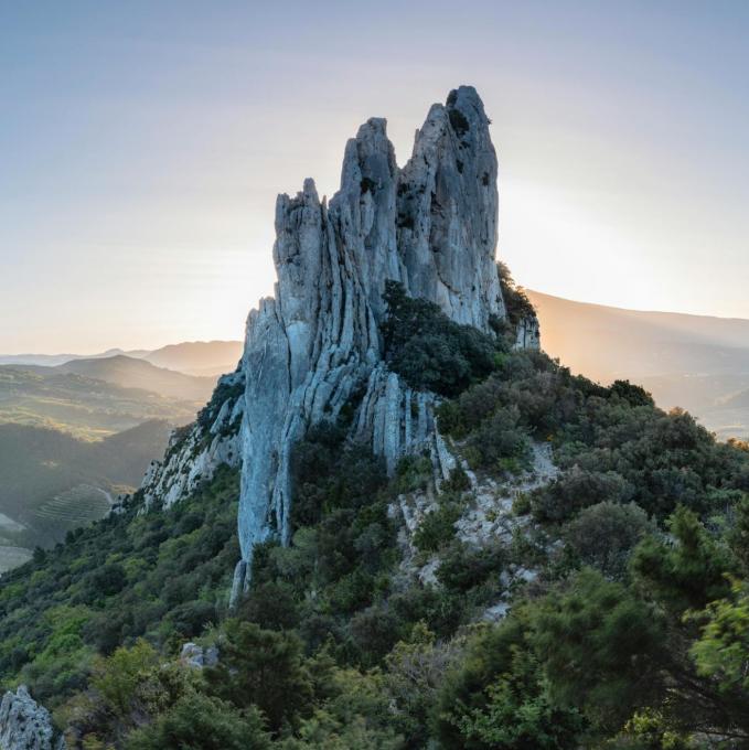 france/provence-alpes-cote-d-azur/dentelles-de-montmirail