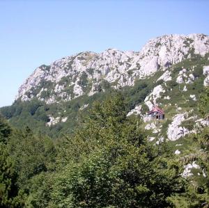 hrvatska/nacionalni-park-risnjak