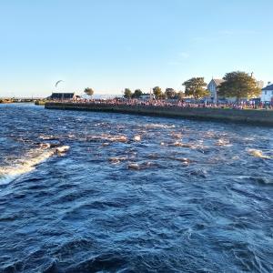 ireland/galway/fish-market