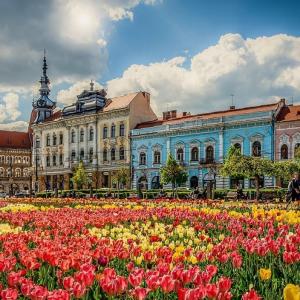 romania/cluj-napoca