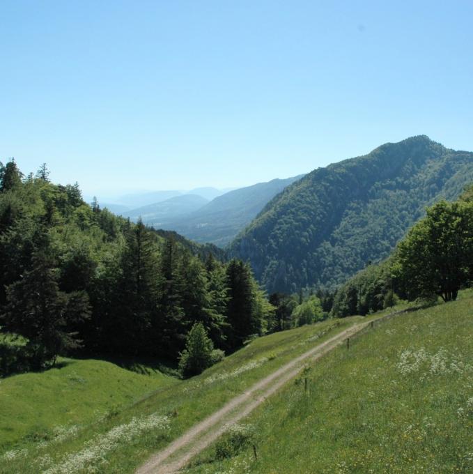 schweiz/weissenstein