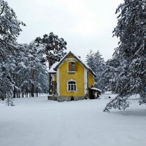 srbija/zlatibor