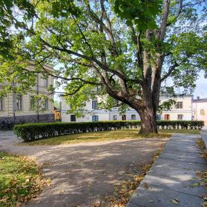 suomi/suomenlinna/suuri-linnanpiha