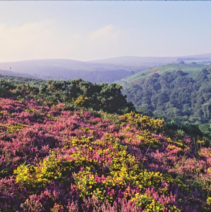 united-kingdom/exmoor-national-park