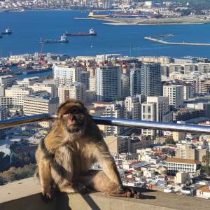 united-kingdom/gibraltar/apes-den