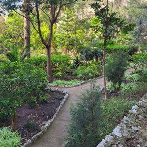 united-kingdom/gibraltar/trafalgar-cemetery