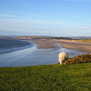 united-kingdom/gower-peninsula