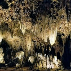 united-states/carlsbad-caverns-national-park