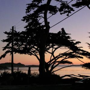 united-states/carmel-by-the-sea