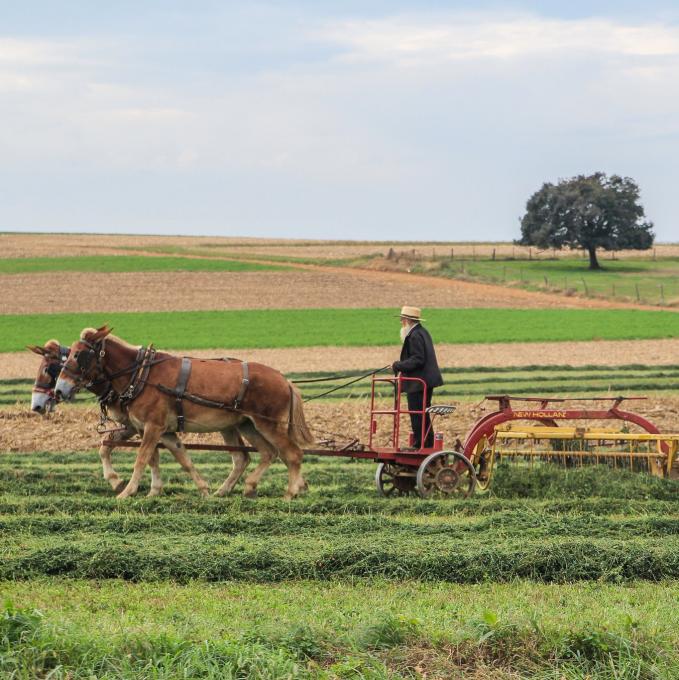 united-states/pennsylvania-dutch-country