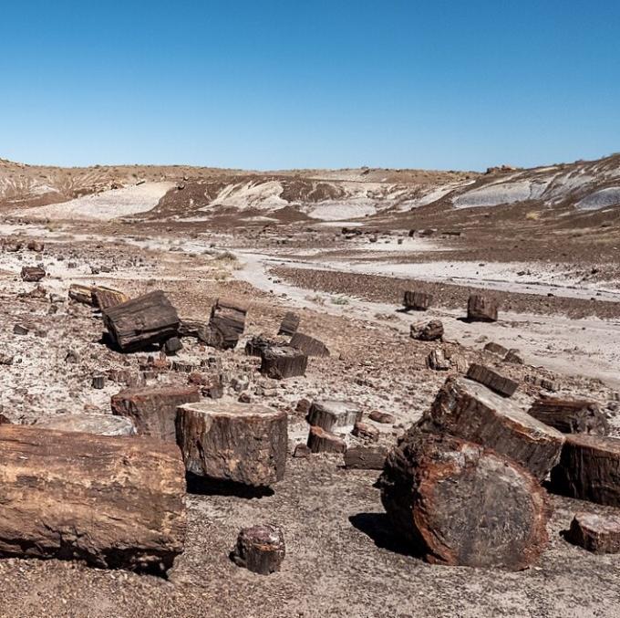 united-states/petrified-forest-national-park