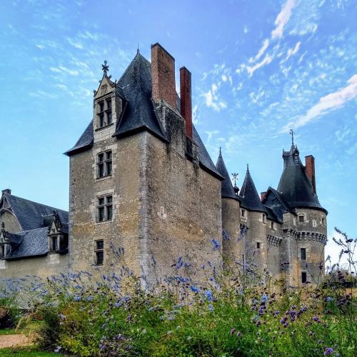 Château de Fougères-sur-Bièvre. - Fougères-sur-Bièvre. Tourisme & visites. Guide de voyage.