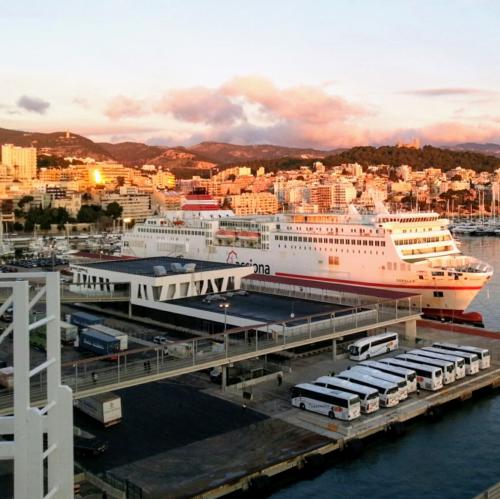 cruise ship terminal palma